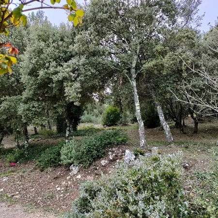 Villa O'fildl'eau à Sillans-la-Cascade Extérieur photo